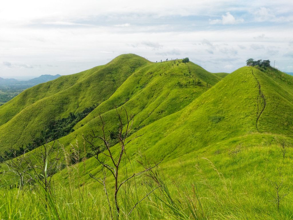 Experience the breathtaking Alicia Panoramic Park in Bohol - VisMin.ph