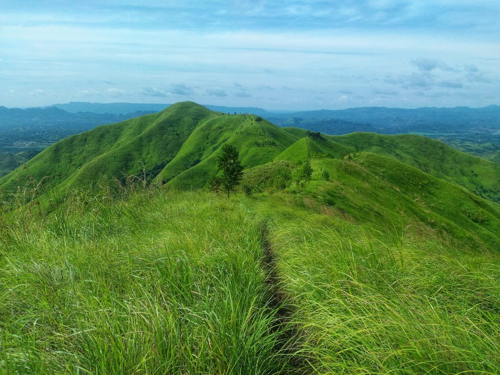 Experience the breathtaking Alicia Panoramic Park in Bohol