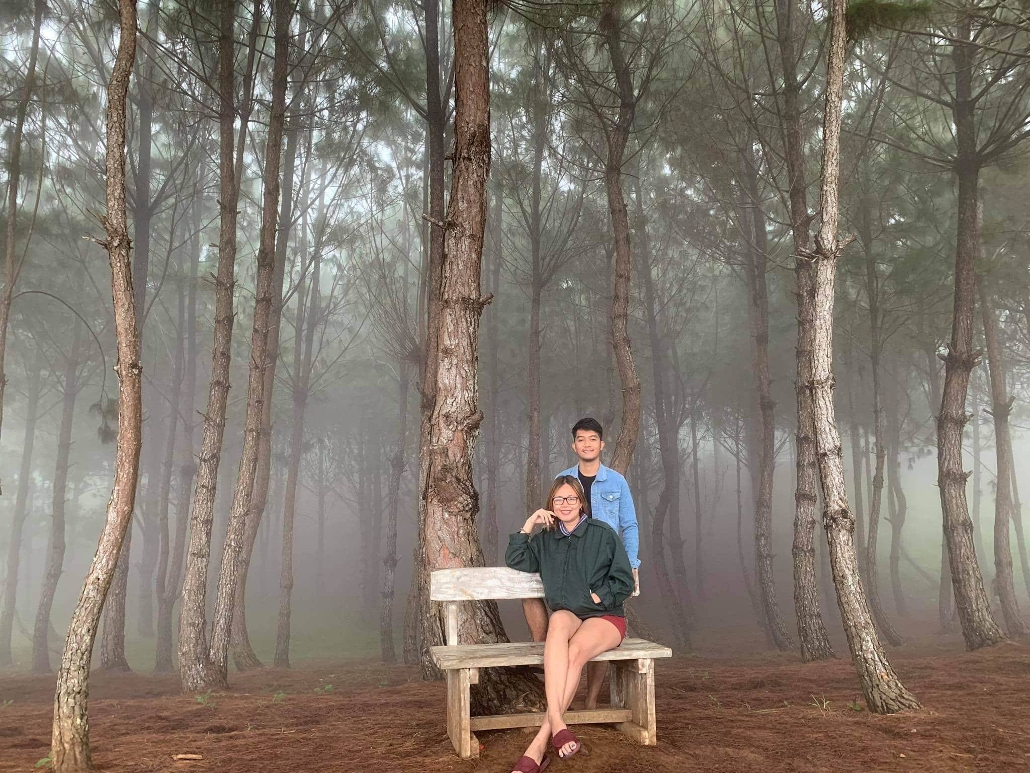 'Folklore' vibes at Matampa Pine Trees Park, the 'Little Baguio' of