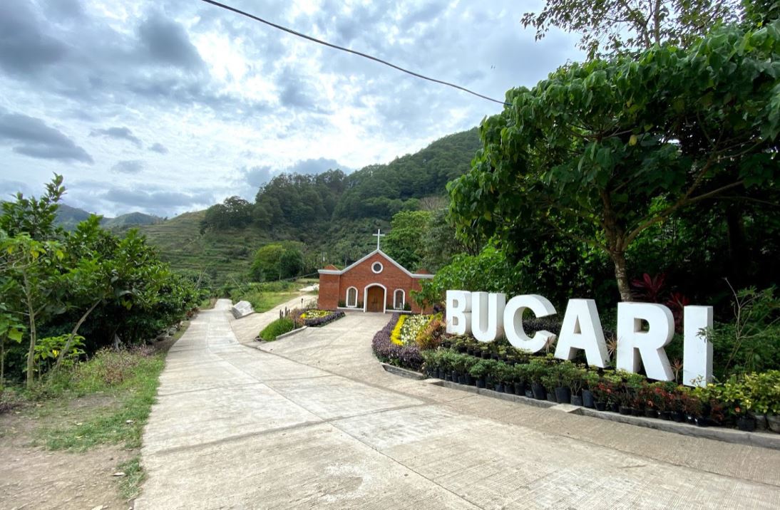 Bucari Pine Forest & Campsite: Experience the 'Little Baguio of Iloilo'