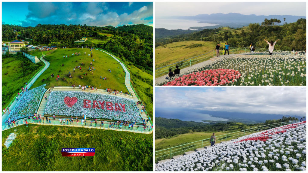 1 16,000 Blossoms Lintaon Peak Baybay