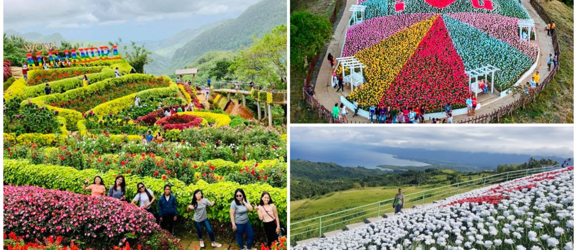 1 Most Beautiful Flower Gardens in Philippines