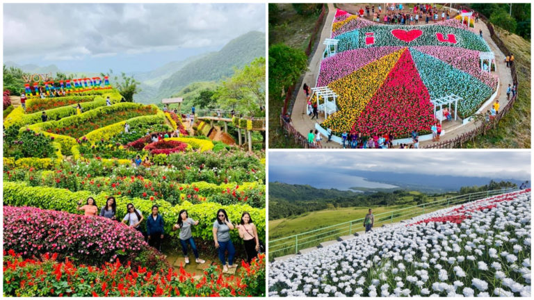 6 Most Beautiful Flower Gardens in the Philippines - VisMin.ph