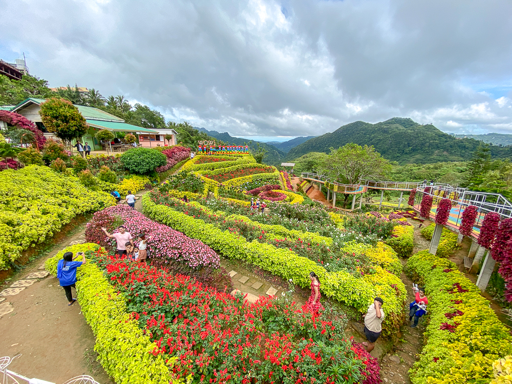 6 Most Beautiful Flower Gardens in the Philippines VisMin.ph