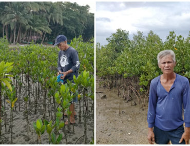 10,000 mangroves yolanda leyte Gary Dabasol