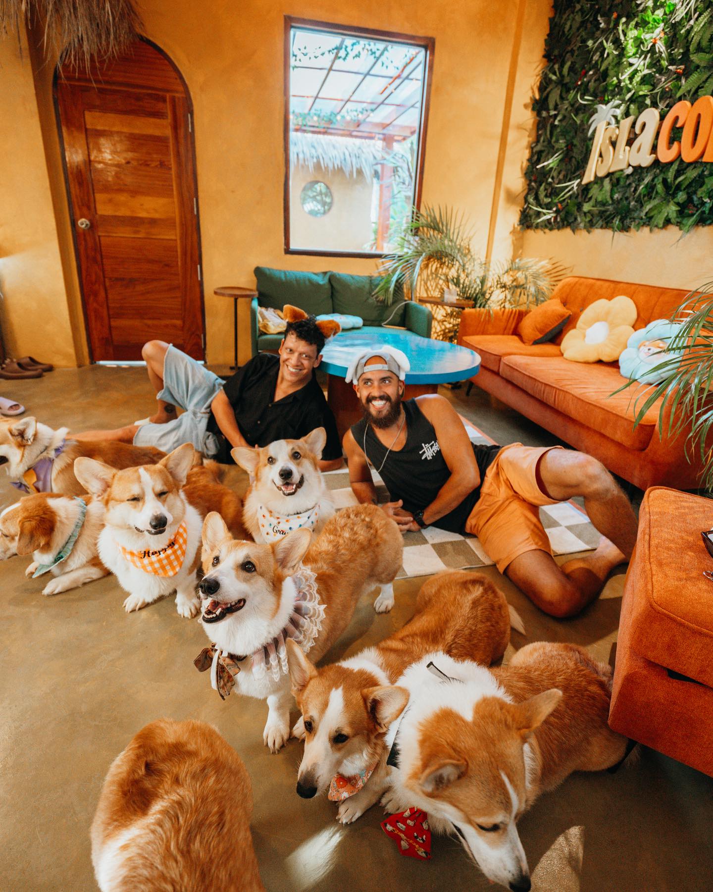 Play With Corgis This Summer At The Philippines's First Corgi Cafe